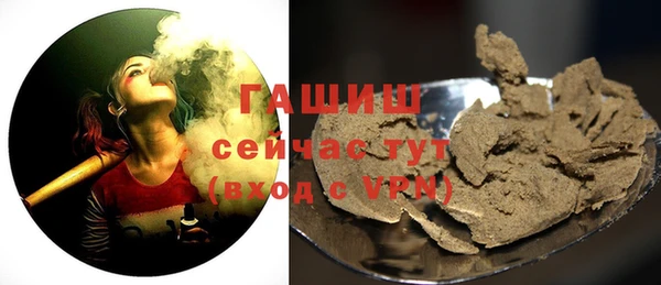 мдпв Бородино