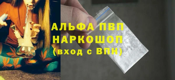 шишки Верея