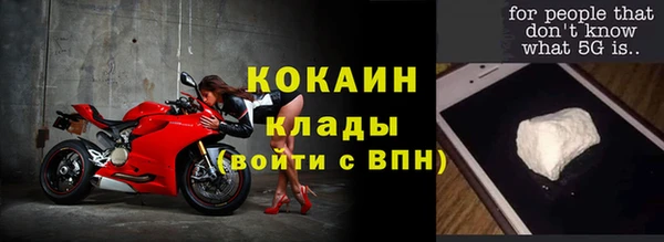 мдпв Бородино