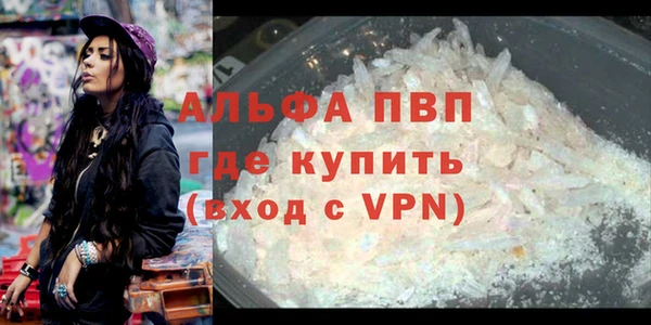 мдпв Бородино