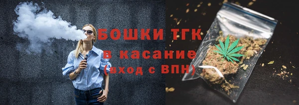 мдпв Бородино