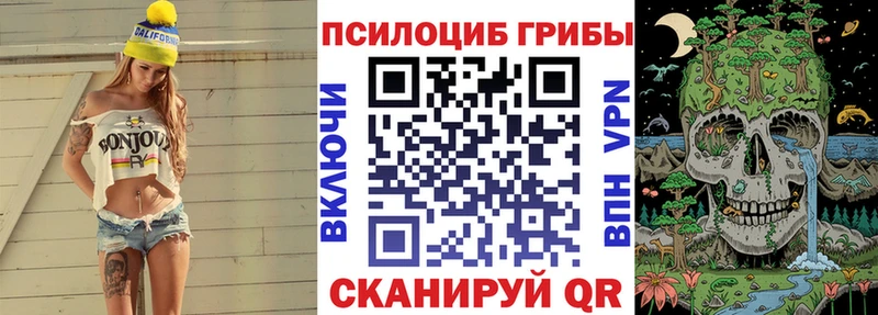 Псилоцибиновые грибы мицелий  Владивосток 